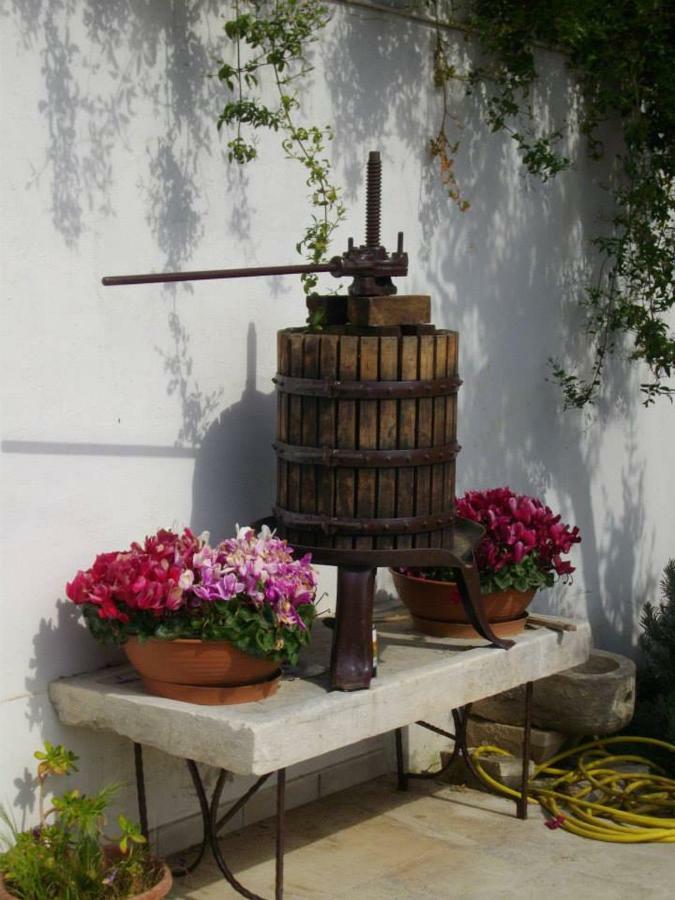 B&B Le Coppe Bisceglie Exterior foto
